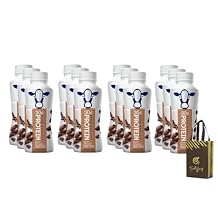 Premium Protein Shake Nutrition Plan, Chocolate Flavor, High Protein Shake, 30g of Protein 12 Pack