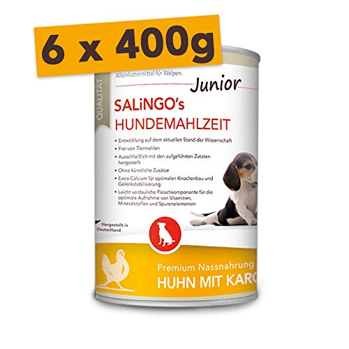 SALiNGO Kennenlernpaket Puppy