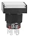 NKK Switches YB26RKG01-2CF24-JB SHORT BODY PUSHBUTTON/ILLUMINATED/PANEL MOUNT