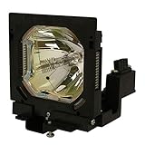 Advanced Lamps™ Lamp & Housing for The Sanyo PLC-XF31 Projector