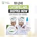 10 Live Caterpillars for Butterfly Habitat Kit - Refill for Painted Lady Butterfly Kit with Caterpillar Food, Mister, Feeder, and More - Educational Science Kit
