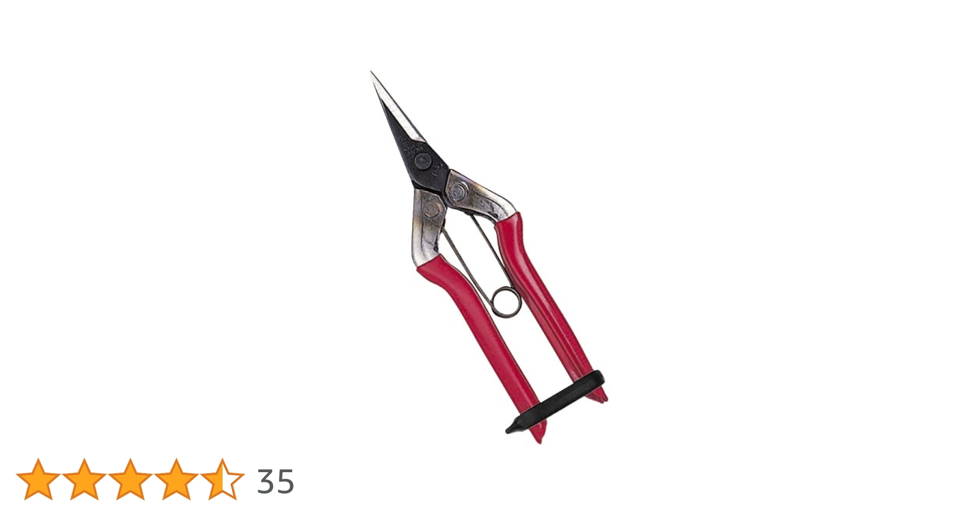 41TMr4slPwL.jpg_BO30,255,255,