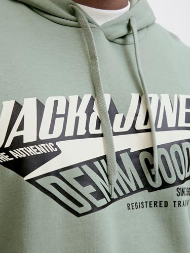 JACK & JONES JJELOGO Sweat Hood 2 COL 24/25 NOOS – Ansicht 6