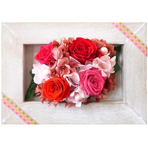 フラワースタジオ リビングカラーズ プリザーブドフラワー フレームアレンジメント (レッド) 1個 花 ギフト 北海道 恵庭市[140004]