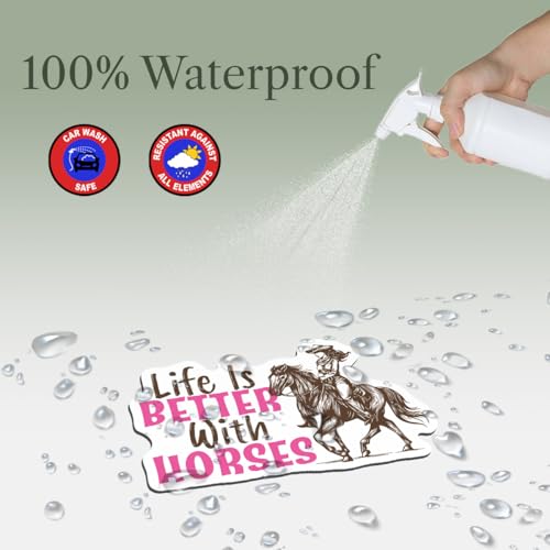 Imán decorativo para amantes de caballos 5.5 pulgadas miniatura 6