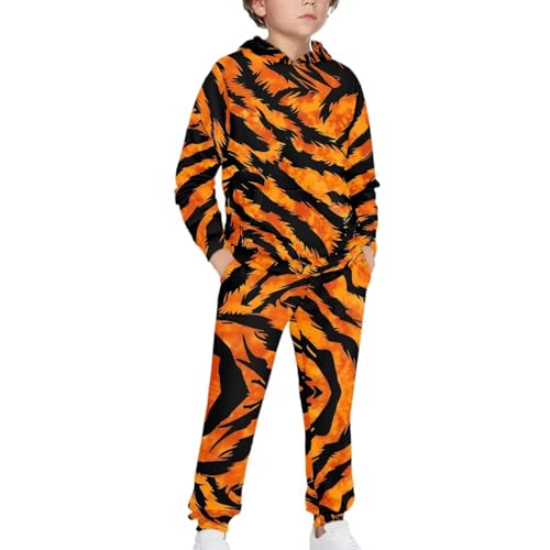doginthehole Boy's 2 Piece Outfits Cool Tiger Stripe Graphic Print Long Sleeve Hoodie and Sweatpants Set Fashion Soft Tracksuit Set for Kids 9-10 Years