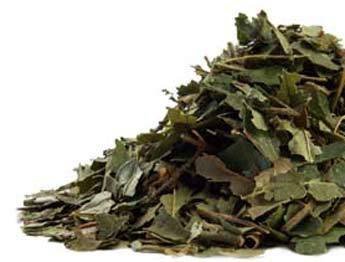 Bulk Herbs: Witch Hazel Leaves (Organic) Bulk Herbs: Witch Hazel Leaves (Organic)
