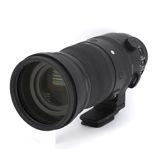 Sigma 150-600mm f/5-6.3 DG DN OS Sports L-mount