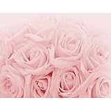 Fototapete Blumen Rosen 352 x 250 cm Vlies Tapeten Wandtapete XXL Moderne Wanddeko Wohnzimmer Schlafzimmer Büro Flur Rosa 9258011a