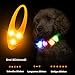 LaRoo Sicherheits LED Leuchtband für Hunde Katzen,LED Licht Blinklicht mit Klettverschluss, Einfach an Halsband Leine und Geschirr zu Befestigen