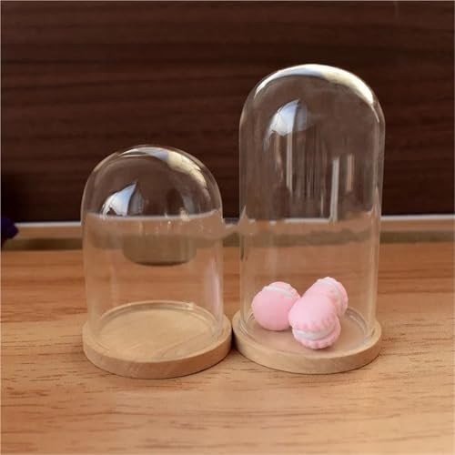 Cúpula de vidrio con base de madera ideal para centros de mesa en bodas 4