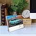 Willow Creek Press, American Muscle Cars 2026 Desk Calendar, 6.18'' X 5.43'', Daily Calendar with Adhesive Binding