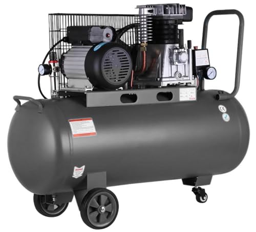 Compresor de aire profesional con certificado CE por correa, 100 litros 3 CV 8 Bares