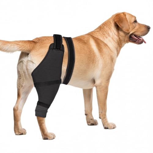 Image of Dog Rear Leg Sleeve to Stop Licking, Hind Leg Protector After TPLO Recovery, ACL Surgery, Wounds or Skin Issues, Soft Breathable Comfortable Cover for Large Medium Small Dogs, M,Right, Grey