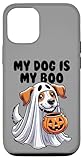 Photo Gallery custodia per iphone 13 pro costume da halloween per amante dei cani my dog is my boo ghost Photo Gallery custodia per iphone 13 pro costume da halloween per amante dei cani my dog is my boo ghost