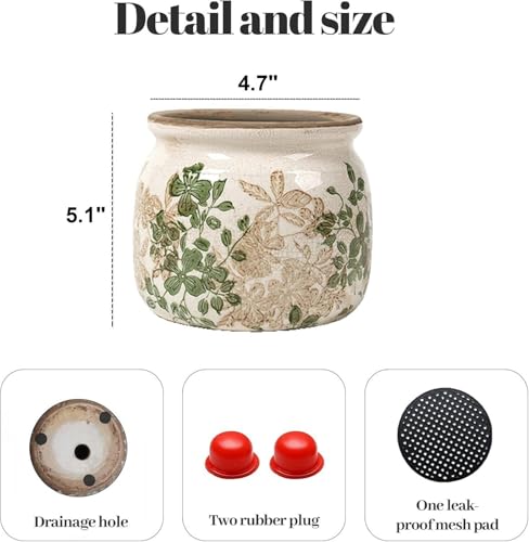 Pots de fleurs amusants en pack de 2 avec finition céramique rétro et rustique