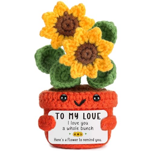 Valentines Day Girlfriend Gifts for Her Wife Anniversary I Love You Gifts for Women Men Him GF Boyfriend Couples Year Anniversary Wedding Birthday Gift, Christmas Mothers Fathers Day To My Love Gift