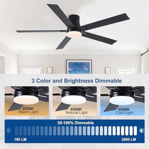 Image of Rayqueen 60 Inch Flush Mount Black Ceiling Fans with Lights and Remote