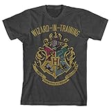 HARRY POTTER Boys Wizard in Training Navy Heather Tee (Medium, Charcoal Heather)