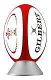Rugby Ball Light