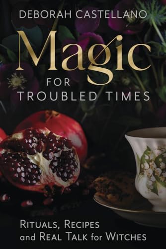 Magic for Troubled Times view 2