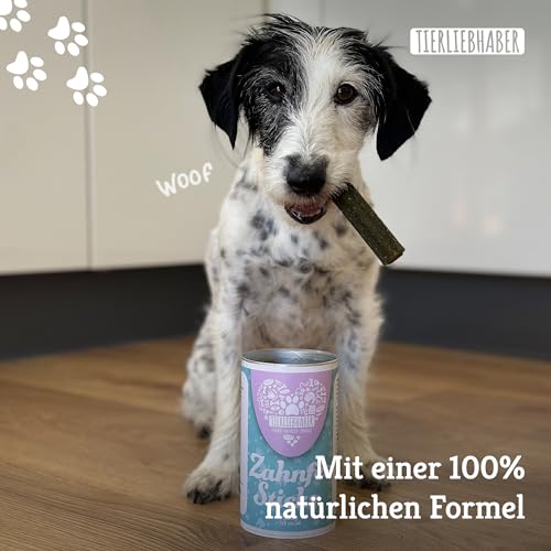 TIERLIEBHABER – Zahnfee Dental Sticks Hund Zahnsteinentferner – Hundeleckerlies zur Hunde Zahnpflege – Von Tierärzten entwickelt – Gegen Mundgeruch & Zahnbelag – 13 Natürliche Dental Kaustangen Hund
