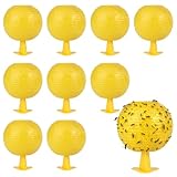 Lot de 10 pièges à mouches des fruits jaunes - Boules collantes pour pièges à insectes volants - Pour cuisine, balcon, verger et pots de fleurs