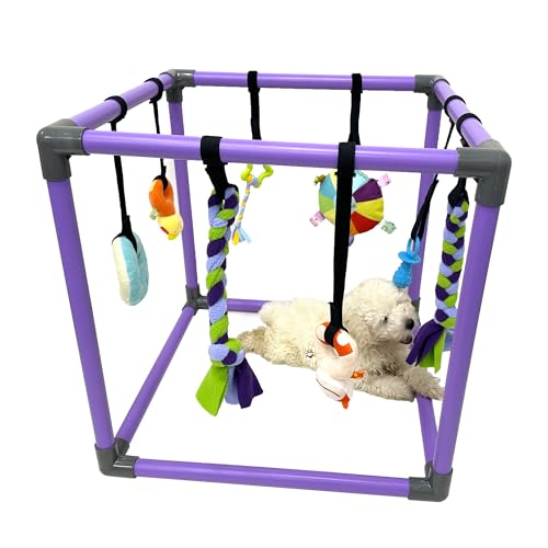 DOZZOPET Puppy Play Gym for Small Dogs with 8 Hanging Toys, Jungle Playground with Interactive Funny...