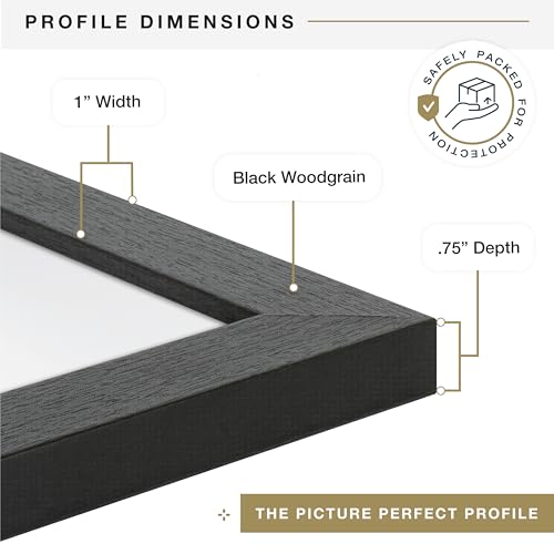MCS Studio Gallery 19.75x27.5 Poster Frame Black Woodgrain, Vertical & Horizontal Wall Hanging Large Picture Frame for Photos, Posters & Art Prints (1-Pack)