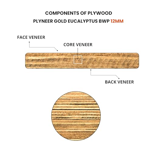 Image of Plyneer Calibrated Gold Eucalyptus BWP-Grade Plywood Premium Gurjan Wood for Kitchens & Bathrooms (12mm)-8ft x 4ft
