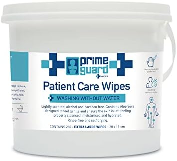 Primeguard Cleansing Wet Wipes – 1 Tub of 250 Wipes