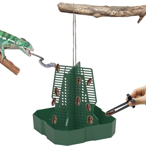JWIZYOTR Chameleon Feeder+Bearded Dragon Feeder for Mounted Insect with Rope and Tweezers, Tank and Aquarium Accessories for Lizard, Bearded Dragon, Gecko, Frog（Medium）