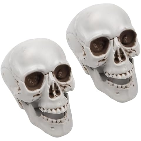 Needzo Realistic Plastic Skulls Cover