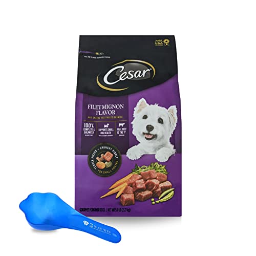 Unleash the Best Nutrition for Your Pooch with Caesar Dry Dog Food Top