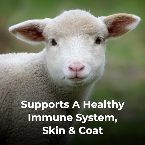 Image of PetAg Dyne High Calorie Liquid Nutritional Supplement for Livestock - 32 oz - Includes Added Vitamins - Excellent for Underweight, Stressed, or Recovering Animals