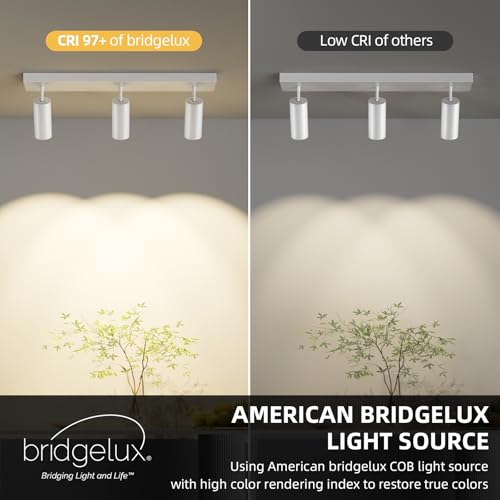 Image of Spotlight Indoor Ceiling LED Light,3 Lights 60W Modern Spot Light Fixtures 4000K White Accent 300Adjustable Picture Painting For Living Room Bedroom Hallway Gallery Flush Mount Directional Lighting