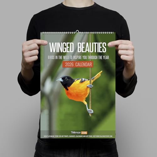 Image of Tallenge - Winged Beauties - 2026 Wall Calendar - 12 x 17 Inches for Home & Office (Paper, Wall Calendar)