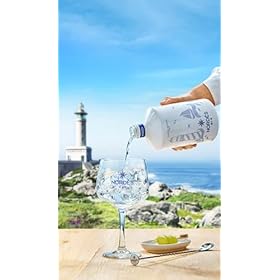 NORDÉS Premium Gin | Made from a Portion of Wine Alcohol and 6 Galician Botanicals. Fresh, Aromatic and Well-Balanced Flavour. 40% Alcohol Volume - Bottle Size 70cl – Nordés
