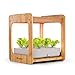 Produktbild blumfeldt Urban Bamboo - Indoor Garden, Pflanzsystem, Hydroponisch, automatische Beleuchtung mit 24W LED, integrierte Umwälzpumpe, 7L Wassertank, echter Bambus, 12 Pflanzen, Zimmergewächshaus
