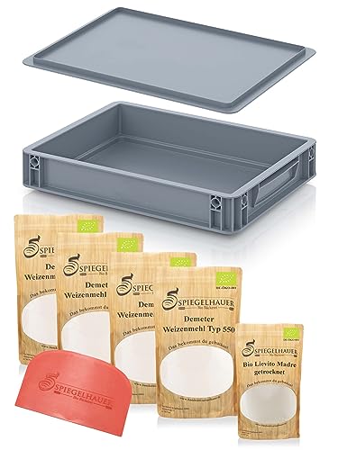 Pizza Starter Set mit Pizzaballenbox Pizzamehl aktiver Lievito Madre Sauerteig Teigschaber I Pizza backen ohne Hefe I Starter-Kit Pizzateig Pizzaballenbox mit Deckel I Teigbox Hefekiste