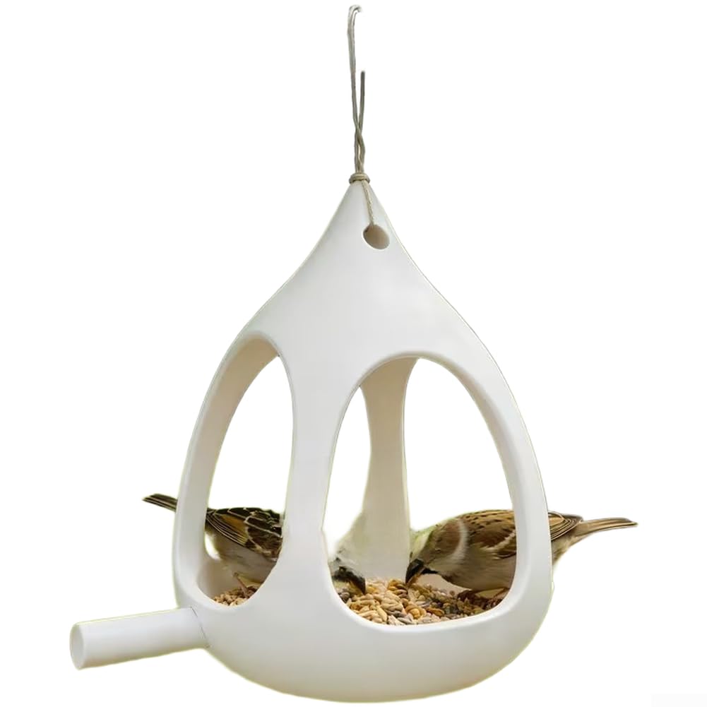 Mangeoire à oiseaux sphérique pour observer la nature au jardin