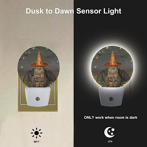Image of EKOBLA Halloween Bat and Cat Night Light, Autumn Maple Leaf Night Lights Plug Into Wall with Auto Sensor for Home Decor
