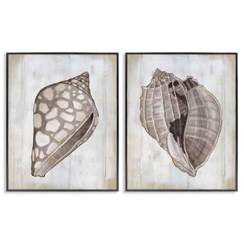 Rustic Marine Life Seashell, 24 x 30 Inch Framed Giclée Print Set