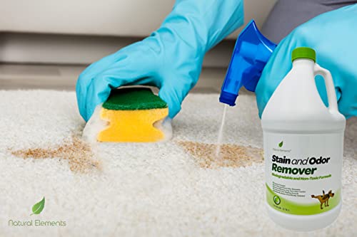 Natural Elements Stain And Odor Remover | Carpet Stain Remover | Pet Urine And Feces Odor Eliminator | Non-Toxic | Enzyme Charged Formula | Unscented, Non-Masking (1 Gallon) #TOP5
