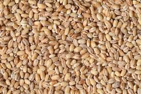 PEARL BARLEY- 55lb