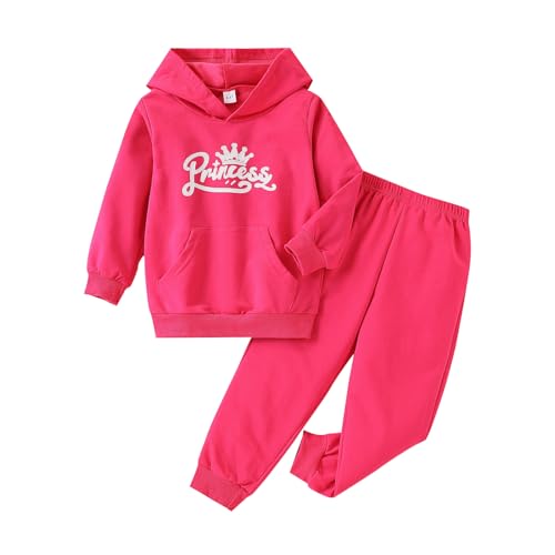 Image of Kid Toddler Girls Clothes Cartoon Pattern Print Sweatshirt Hoodie Sports Pants 2PC Girl Fall Winter Clothing Set