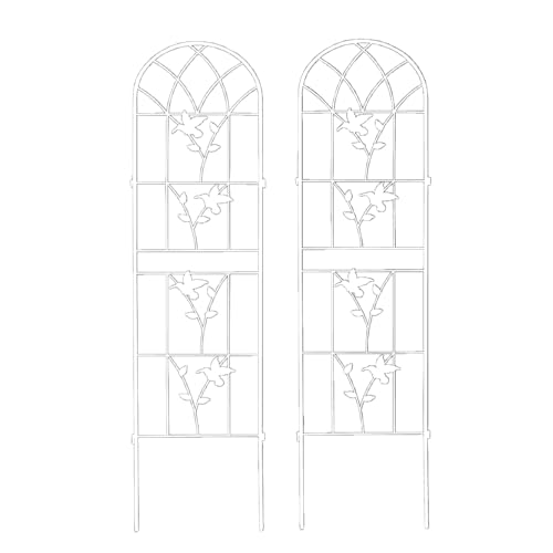 K[f tFX S tFXEo[h  2g  A zCg ACA K[fjO K[f o  | ؉