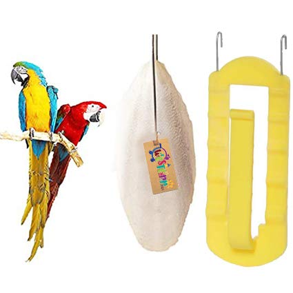 Western Era Natural Calcium Source Cuttlebone Fish for Birds, Parrot (100grm + Holder)