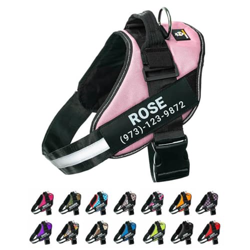 Doggy Kingdom Harness I 15 migliori prodotti a confronto Wild Explained