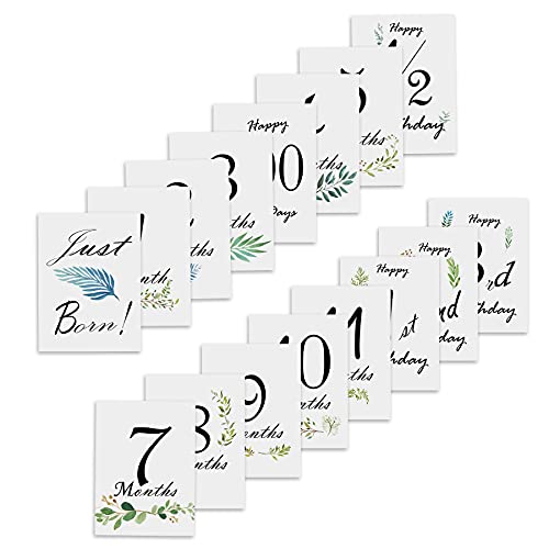 POWER FLOWER 16 carte unisex per le foto delle